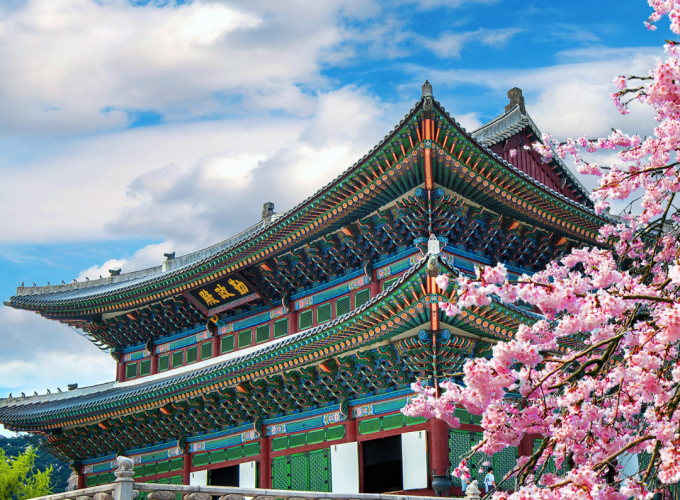 Seoul🇰🇷 20 Feb – 27 Feb